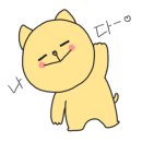 까미애견샵 이미지