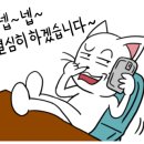 24시아이스크림할인점 이미지