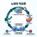 제주힐링코스 루미온스튜디오 바이오포톤 &amp; 스펠톤 테라피 솔직후기