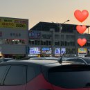 [맛집] 홍성 남당항 대하축제 - 전망대회수산 (내돈내산)