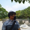 잉어물놀이 이미지