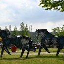 하늘소자연과학유치원 이미지