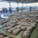 홍어전문점 이미지