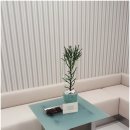 씨제이올리브영 광주운암점 | 운암동미용실 아직 정착 못 했다면? 아르크씨엘헤어운암점 진심 강추! 운암동미용실 서비스 최고네요