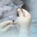 "백신 접종 후 건강한 국민 코로나19사망자 수십배 이상 증가"...코로나19 백신 이상반응 사망자 피해보상 단 8건뿐 이미지