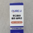 셀라 비 이미지