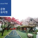 운현유치원 | 2022학년도 운현유치원 입학설명회 후기