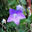 칠선펜션 이미지