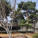 한소망교회 앞 이미지