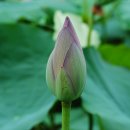 인삼랜드휴게소 이미지