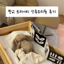 댕이샤워 | 판교 트리니티 산후조리원 후기, VIP, 프레스티지 방 컨디션, 식사, 교육 프로그램, 마사지, 남편 출입...