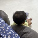 501타워 | 보니타 빈백 티아라 BF501 비건레더 내돈내산 후기