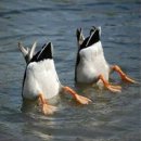 고성박물관 이미지