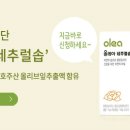 네추럴솝
