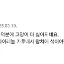 CU 배재대점 Daum카페
