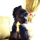 안녕하세요 이미지