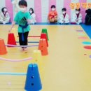 백호태권도장(전용관) 이미지