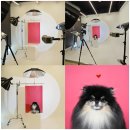 바우 하우스 | 바우하우스 스튜디오에서의 원주사진관 후기 공유!