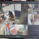 e-베스트청과