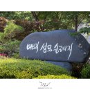 (주)디앤지투어