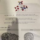 원전미용실