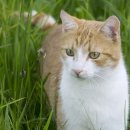 연성 동물병원 이미지