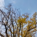 김복동「가을」 이미지