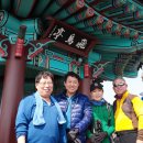 젓국지 Daum카페
