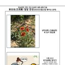 귀교 사례 (왕호응일일육효20250523) 이미지