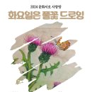 [2024 문화서로 사랑방] 화요일은 풀꽃 드로잉 2기 이미지