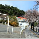 정발장군 동상 Daum카페