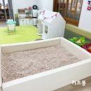 중곡초등학교병설유치원 이미지