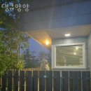 댕큐양양 이미지