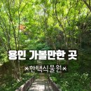 동화자연식물원 | 용인 한택식물원 5월, 아이랑 가볼만한 곳