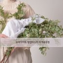 유월꽃보자기 네이버블로그