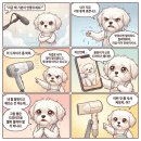 제트헤어