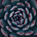 임재농장 이미지