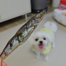 취향저견 이미지