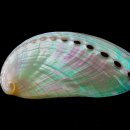 옻칠과 자개공예 이미지