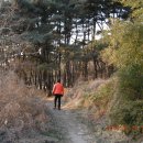 해거름길 이미지