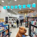 밝은약국 | 롯데마트 사상점에 드디어 대형 메가자이언트약국 오픈! 방문 후기 정리