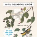마들레