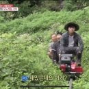 선의농원 이미지