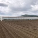 대정읍 상모1리사무소 이미지