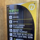 으뜸50안경 인천강남시장점 | 인천 서구 안경점 추천 : 강남시장 으뜸50안경 선글라스 구입후기