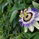 영명농장 이미지