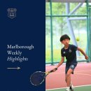 MCM weekly highlights 이미지