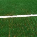 용하운동장 이미지