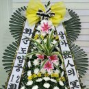 화순도암중학교 이미지