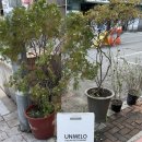 수원-0152 | 수원 화성 행궁동 파스타 인생 맛집 데이트 추천 운멜로 주말 웨이팅 내돈내산 후기